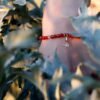 Caotica Bracelet