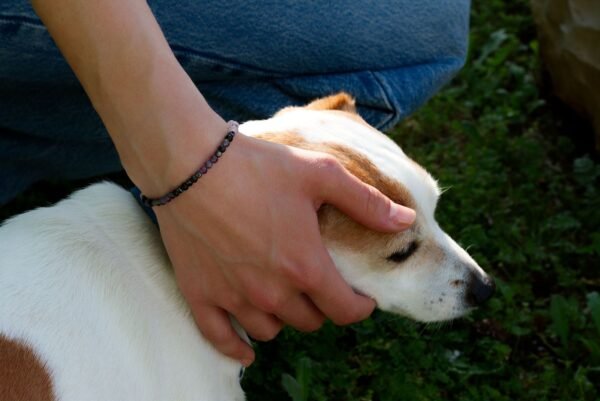Caotica Bracelet
