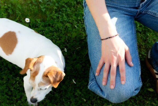Caotica Bracelet